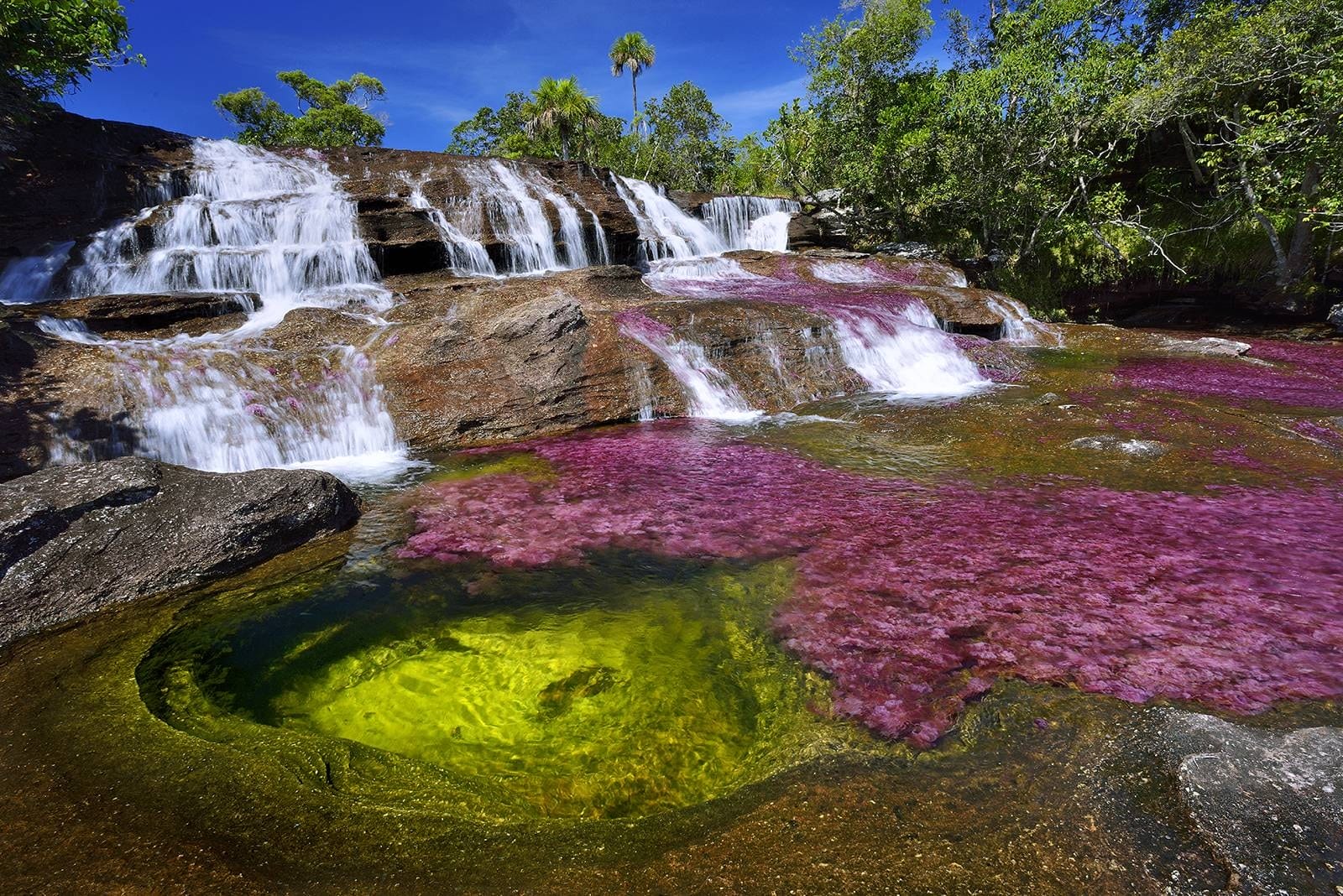 caño cristales