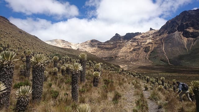colombia, trekking, mountains, landscape, nature, national park, paramo, nevado del quindio, volcano, colombia, colombia, paramo, paramo, paramo, paramo, paramo