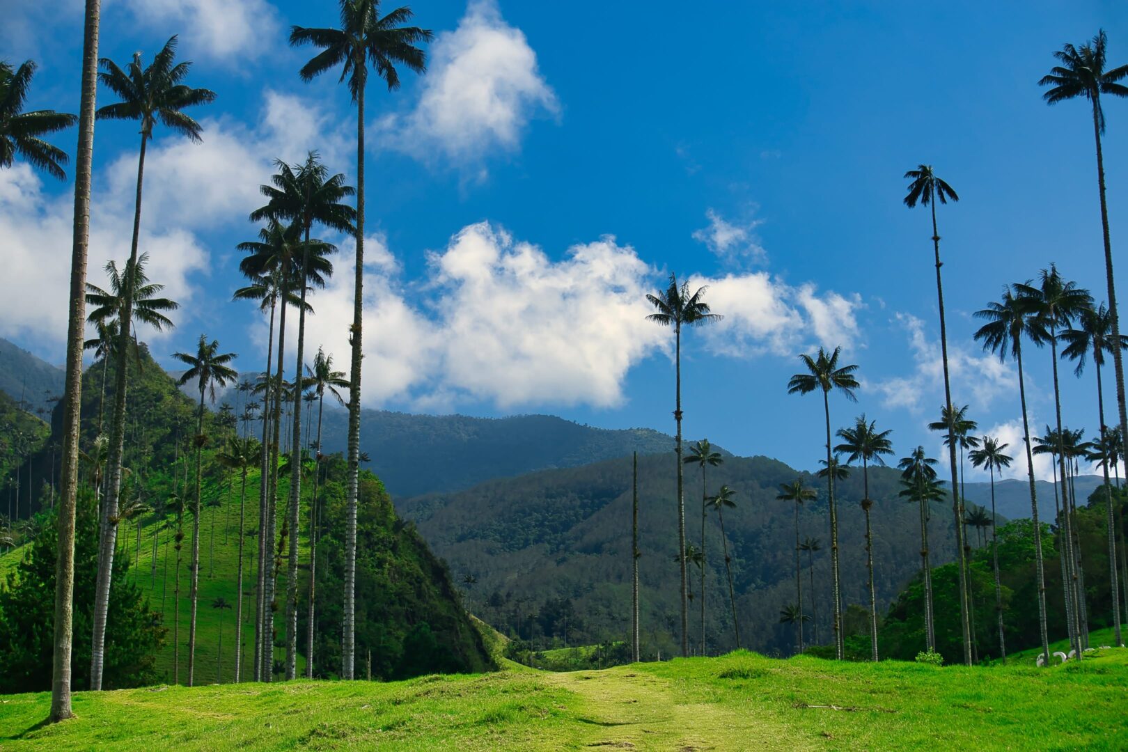 viajar solo en colombia - noticias - gustos - viajar solo en colombia
