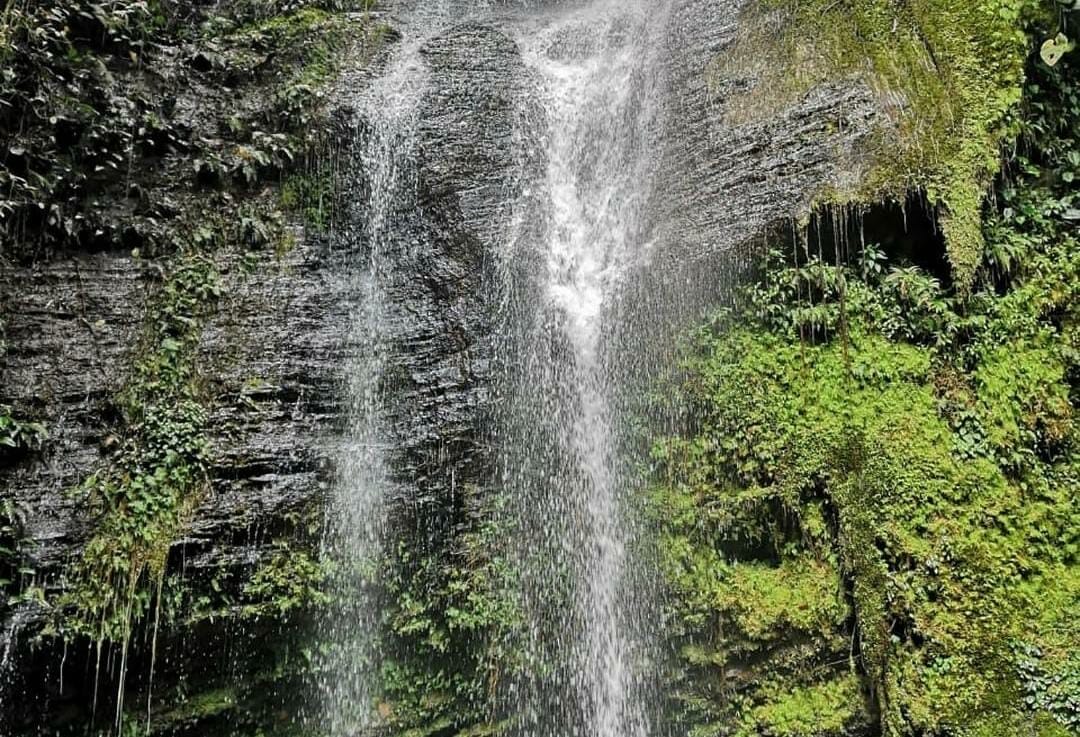 cali colombia - valle del cauca - servicio