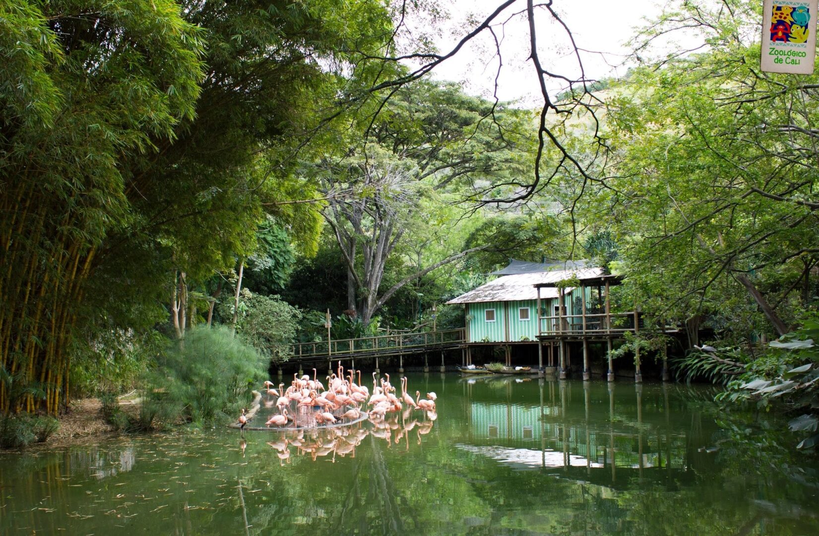 cali colombia - valle del cauca