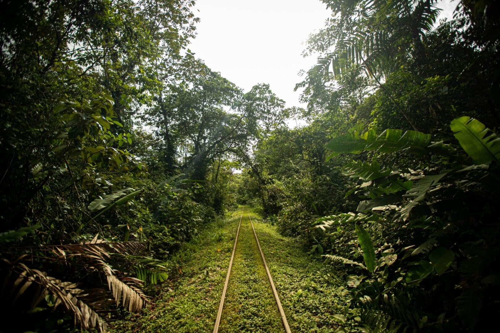 rutas - fin 