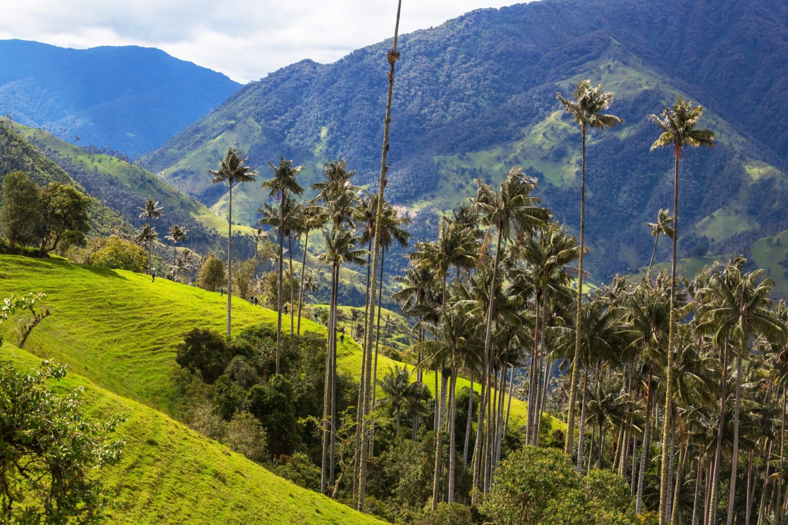 viajar a colombia