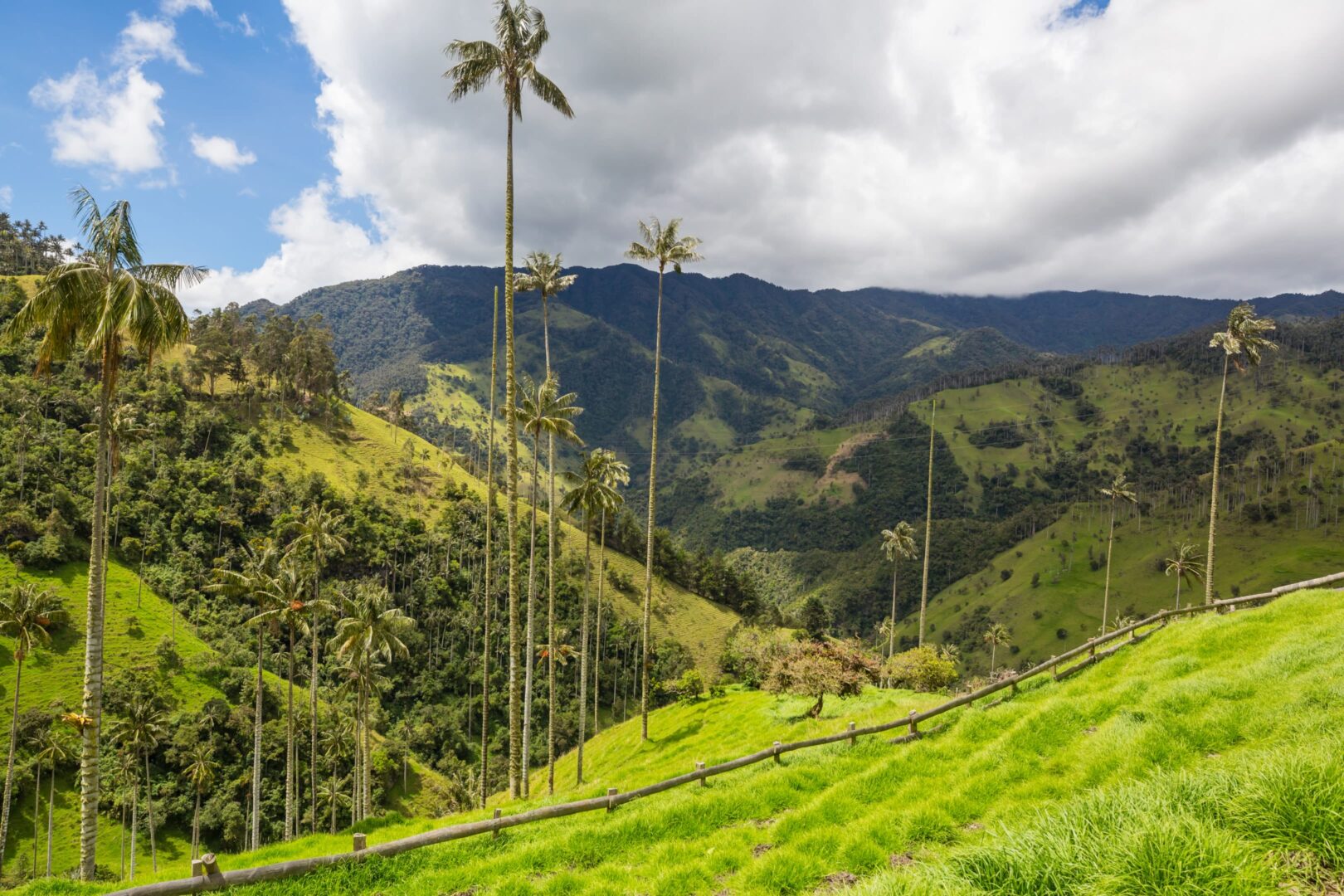 valle del cocora