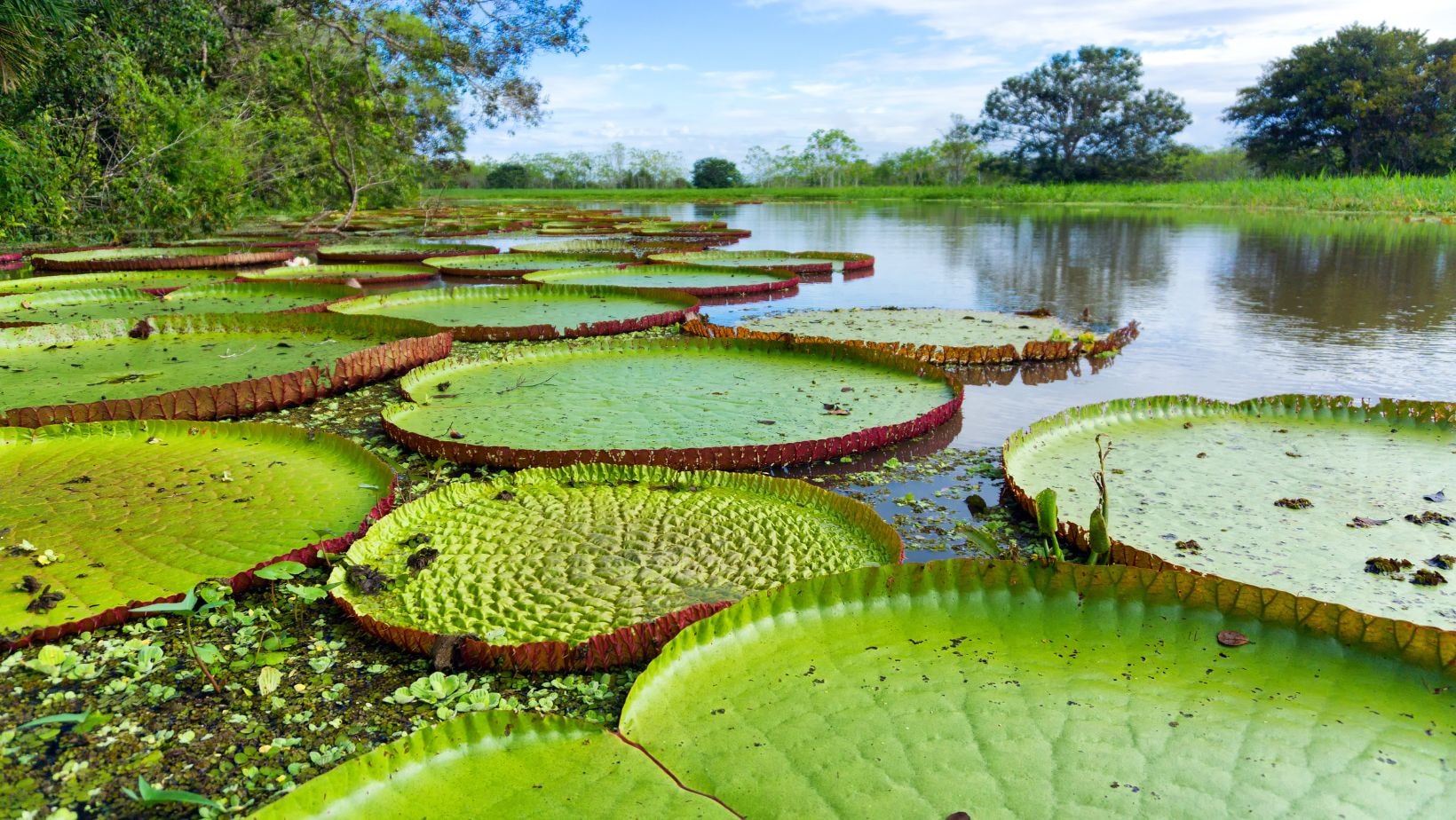 paisajes de colombia