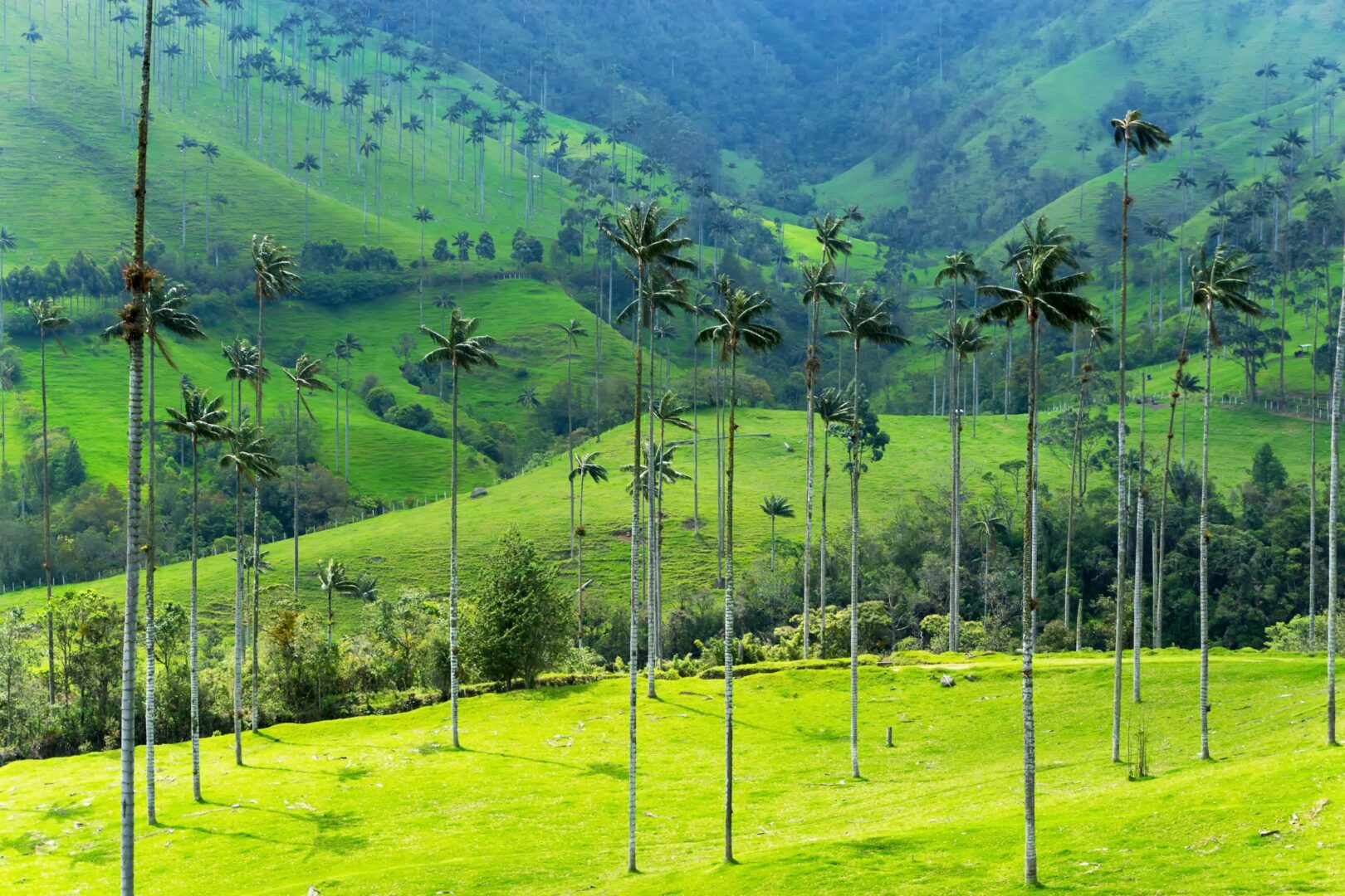paisajes de colombia