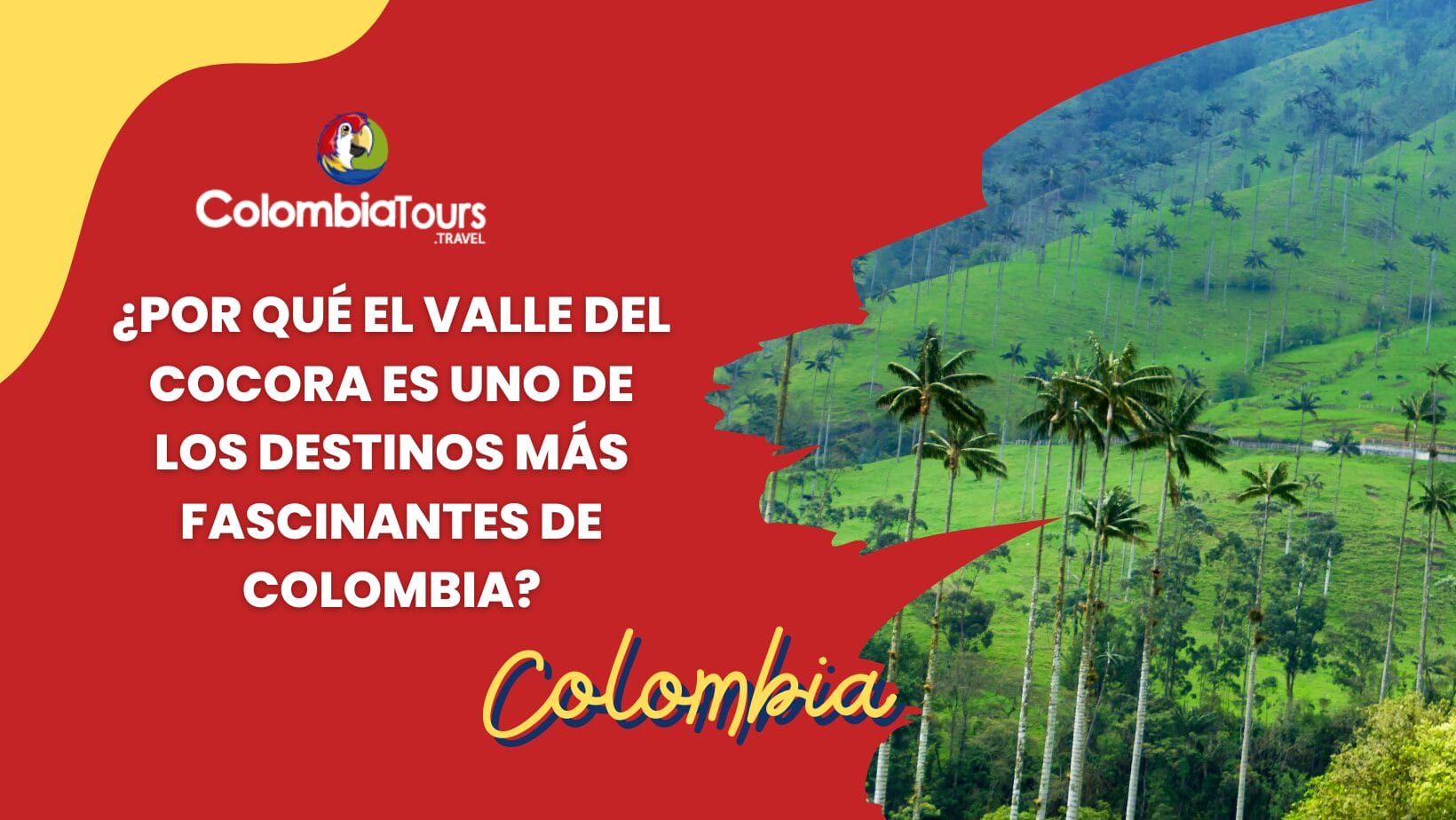 ¿Por qué el Valle del Cocora es uno de los destinos más fascinantes de Colombia?