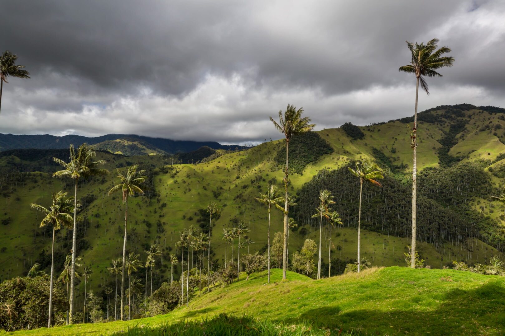 valle del cocora