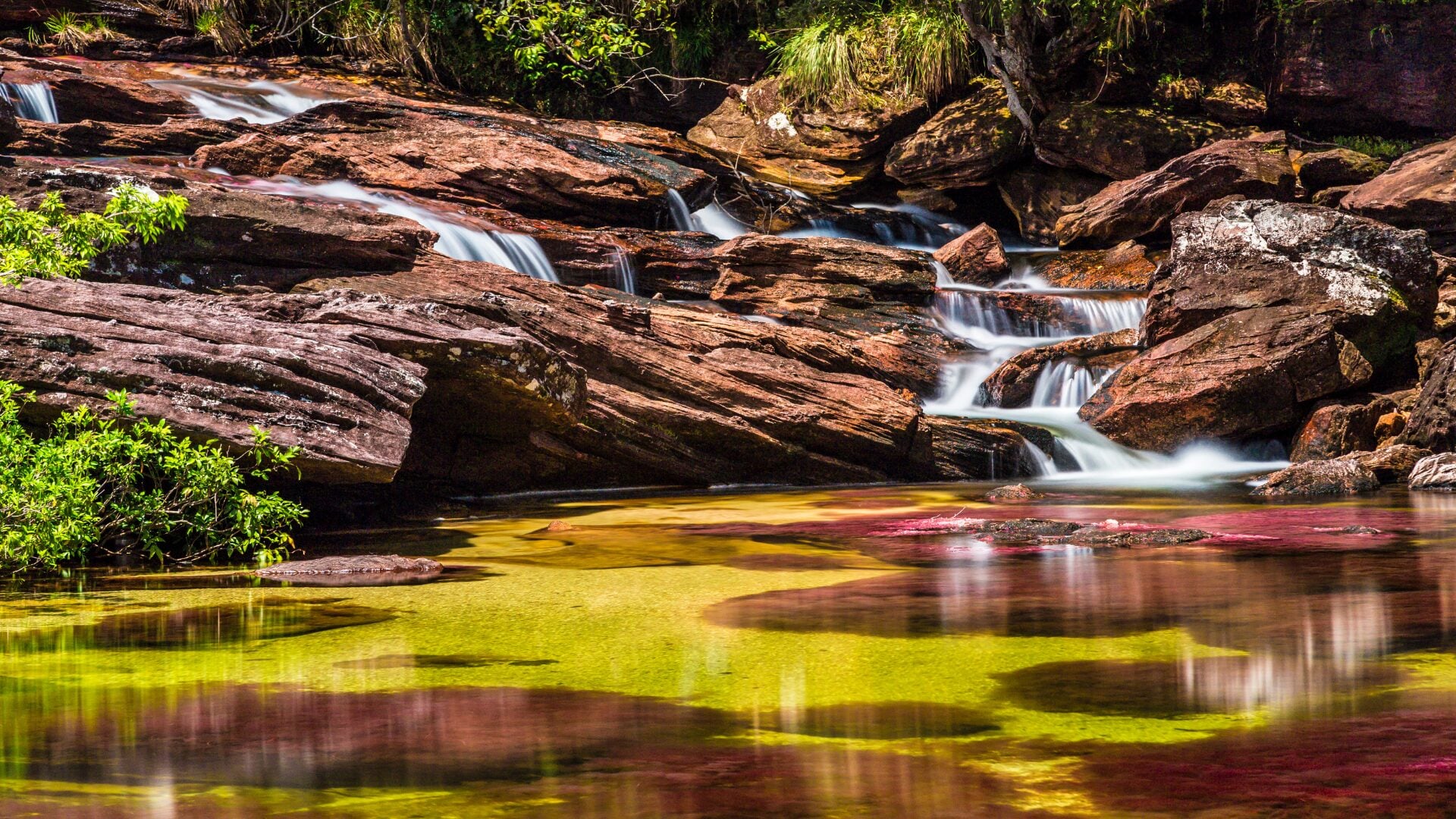 Caño Cristales
