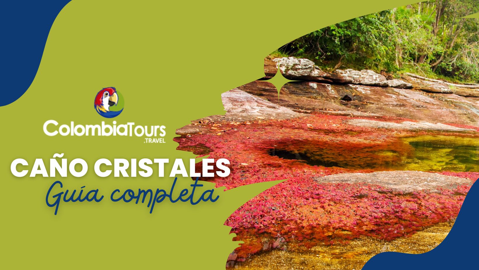 Caño Cristales - Guía de viajes completa 2026