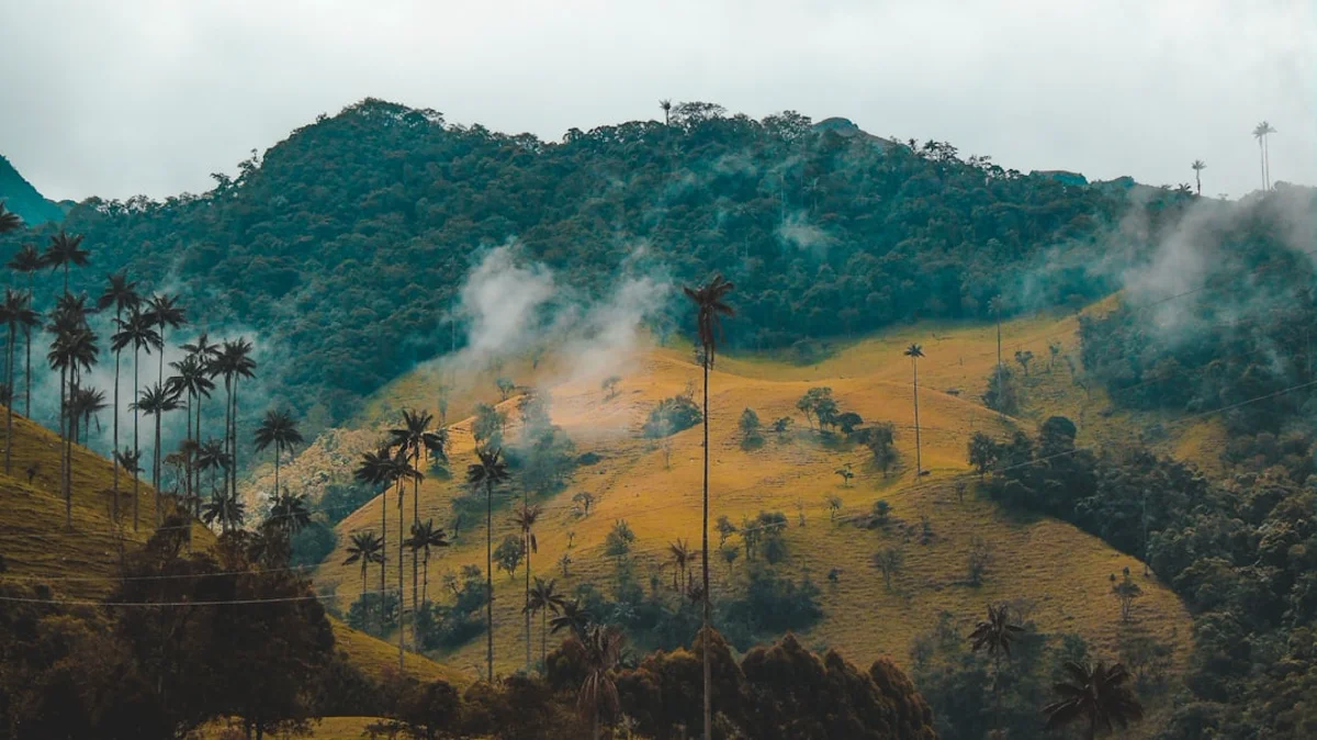 Montañas y vegetación en Putumayo