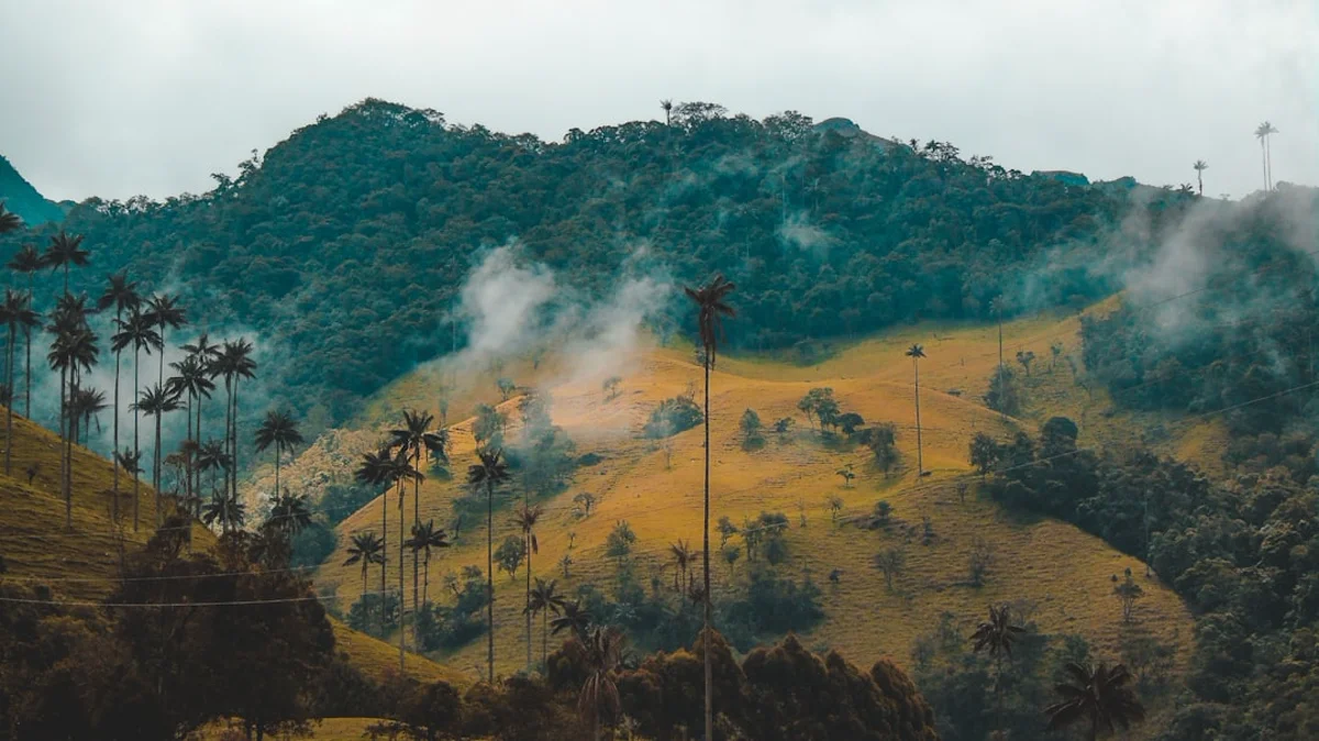 Paysage du río Guayabero sur la route de Caño Cristales — image 6