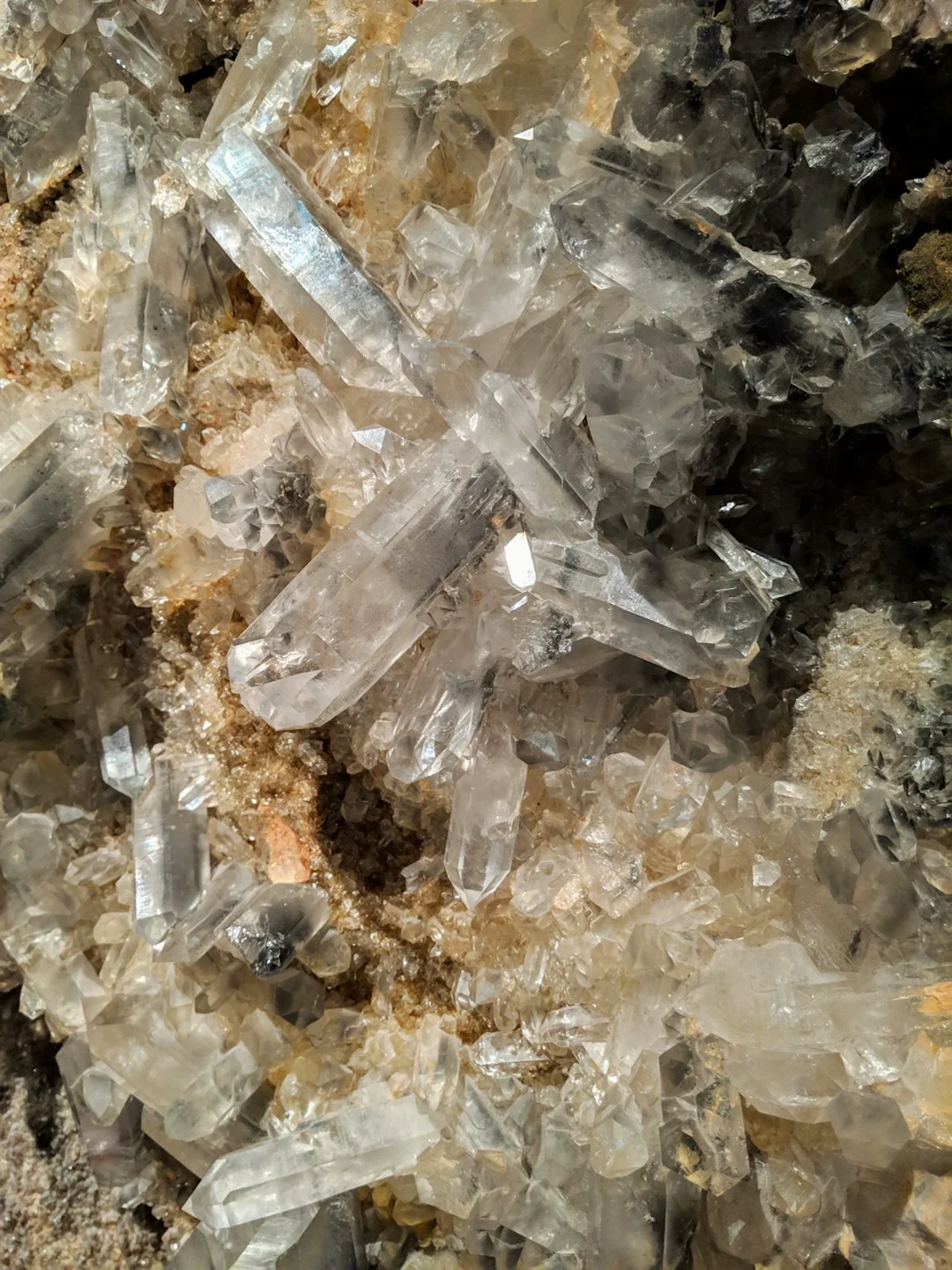 Vasques et roches de Caño Cristales pour voyageurs nature — image 5