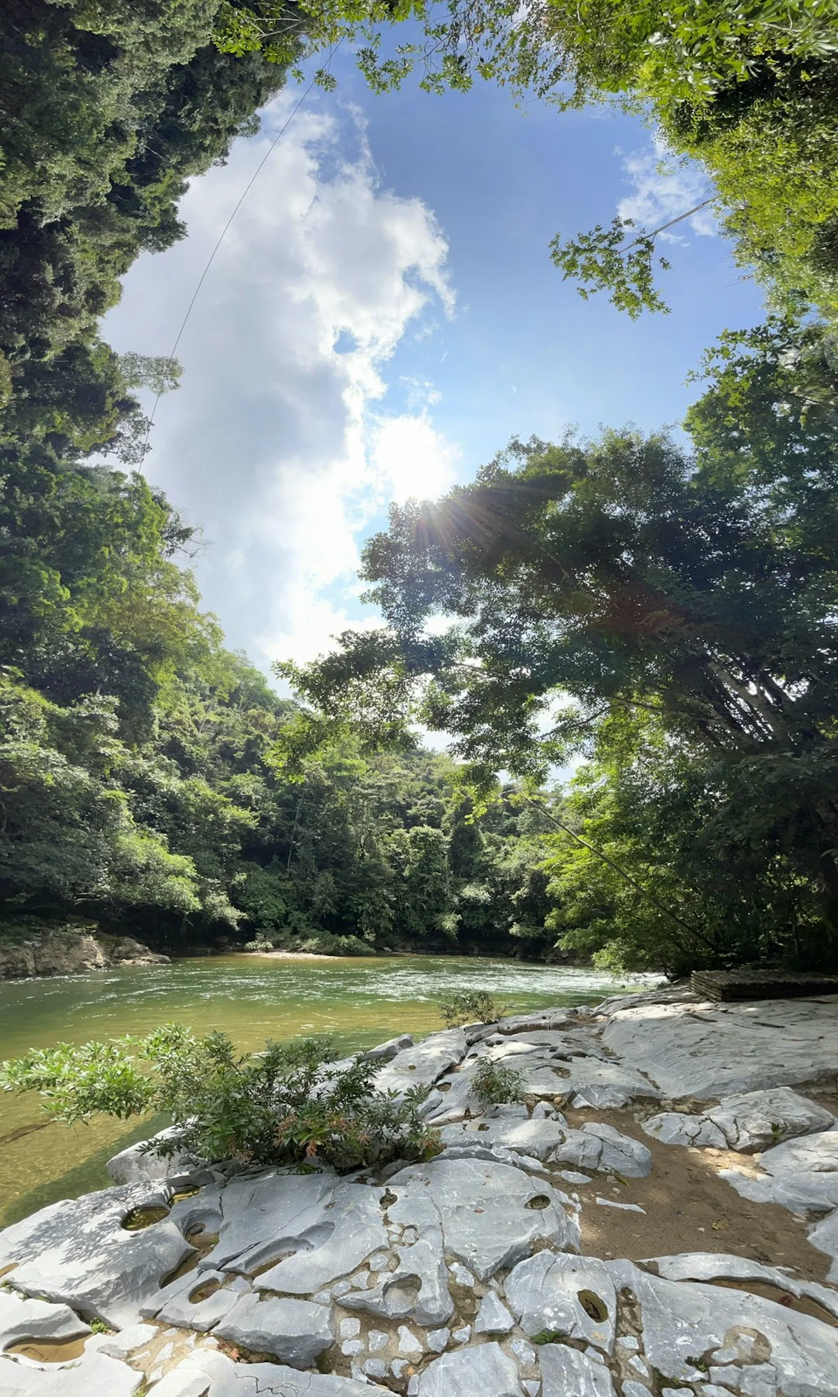 Vue naturelle de Caño Cristales idéale pour la photographie de voyage — image 10
