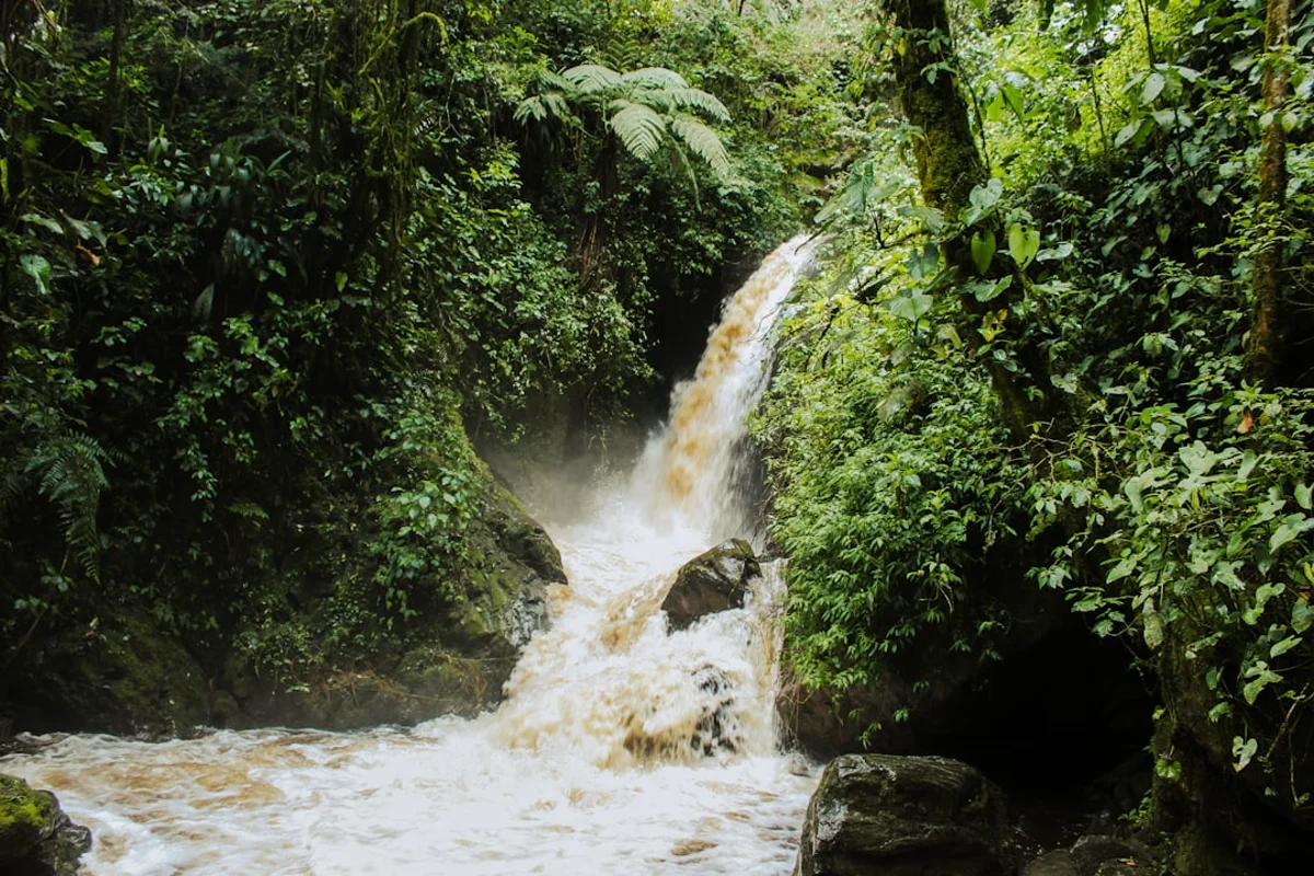 Paisajes y experiencias de colombia en Colombia para planear tours, entradas y experiencias guiadas