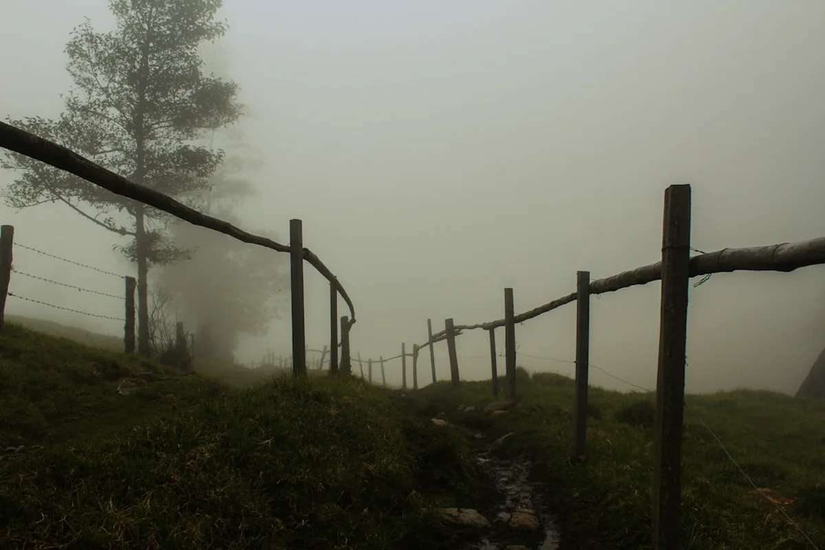 Paisajes y experiencias de colombia en Colombia para planear temporada alta y baja