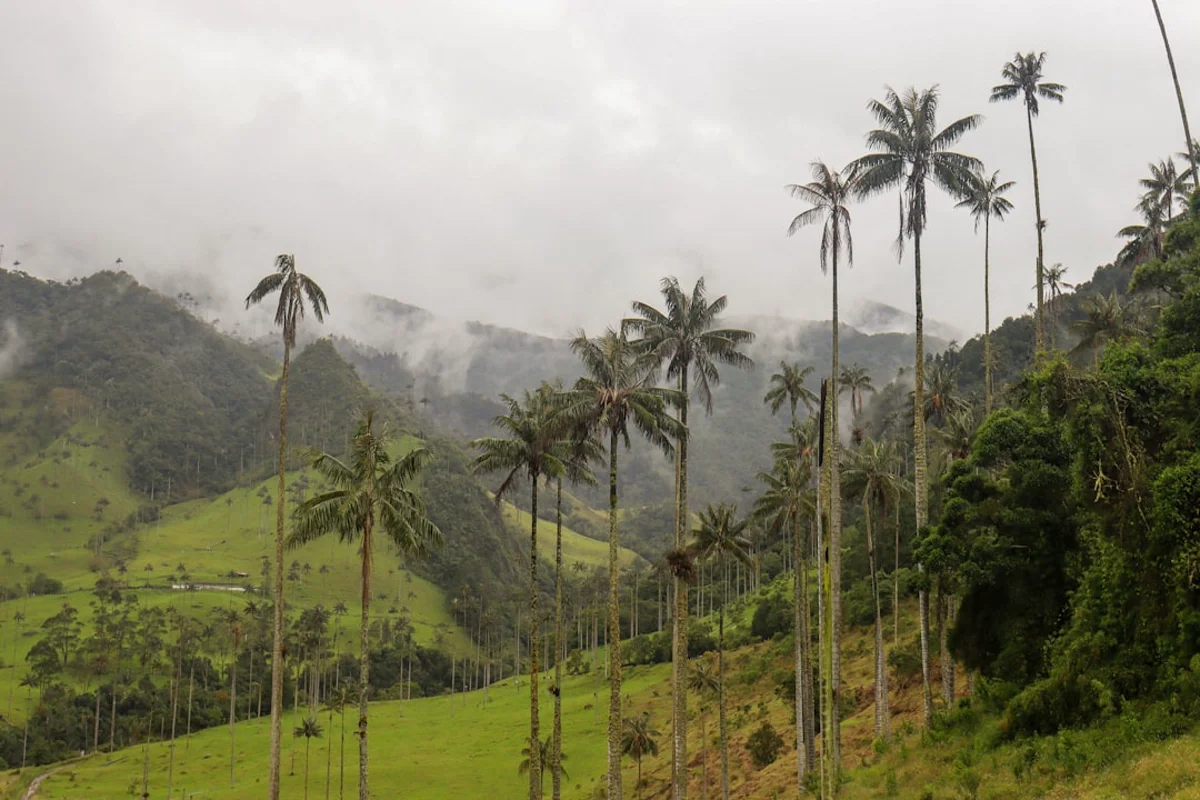 Paisajes y experiencias de colombia en Colombia para planear cotización y paquetes personalizados