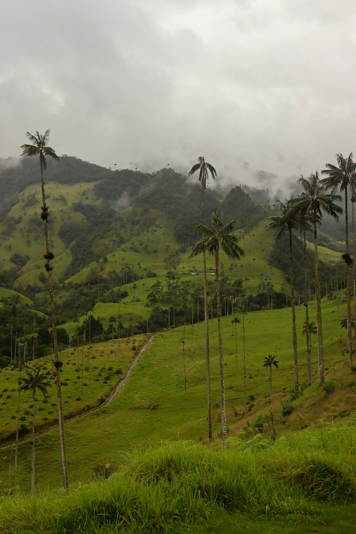 Paisajes y experiencias de colombia en Colombia para planear Medellín, Guatapé y Antioquia