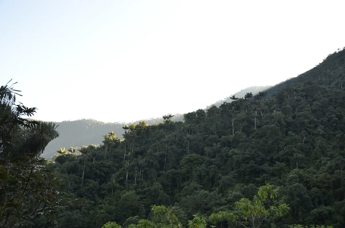 Kostenplanung für Bogotá, Medellín, Cartagena und die Kaffeezone in Kolumbien