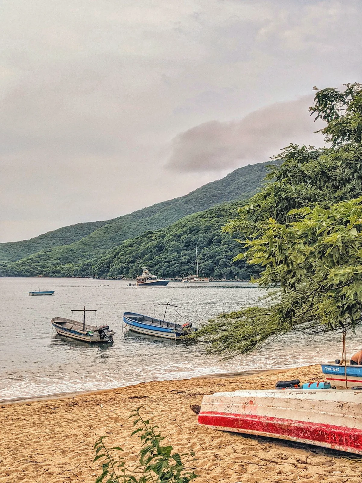 Paisajes y experiencias de colombia en Colombia para planear vuelos internos, buses y traslados