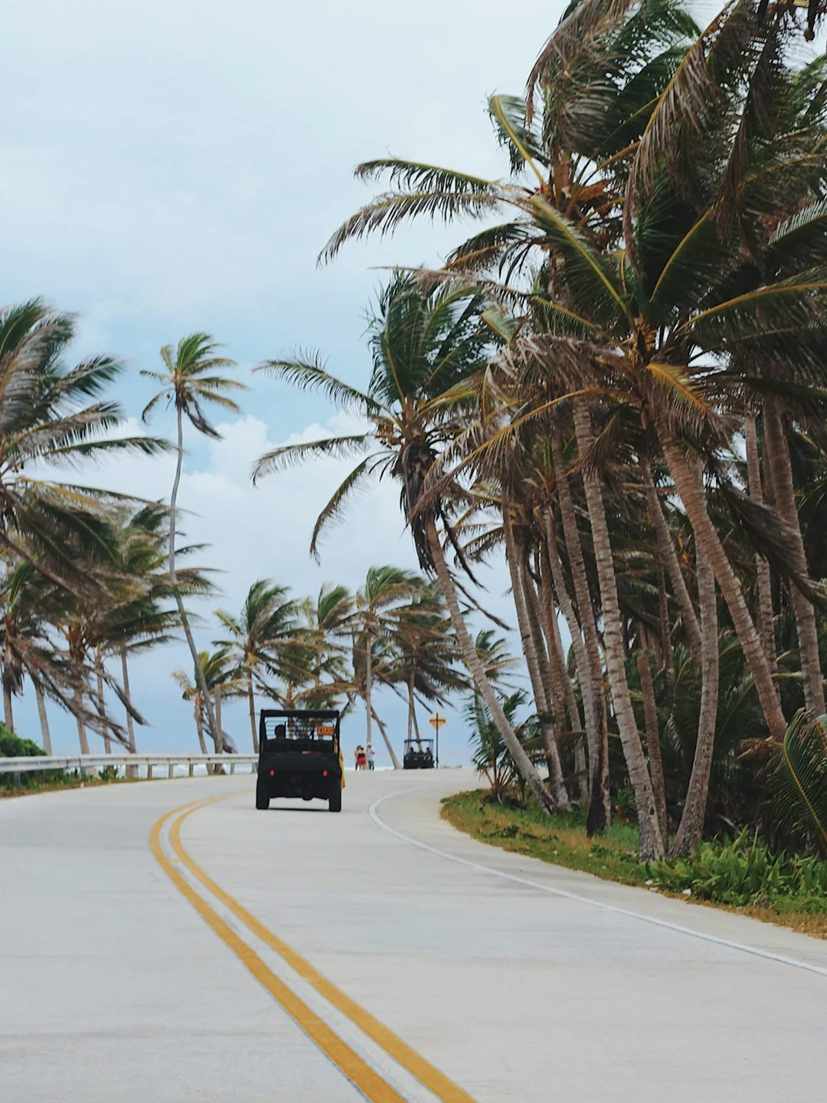 Tayrona en Colombia para calcular tours, entradas y experiencias guiadas al planear un viaje