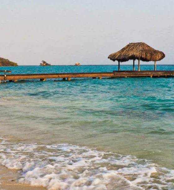 Tour 4 islas premium + acuario