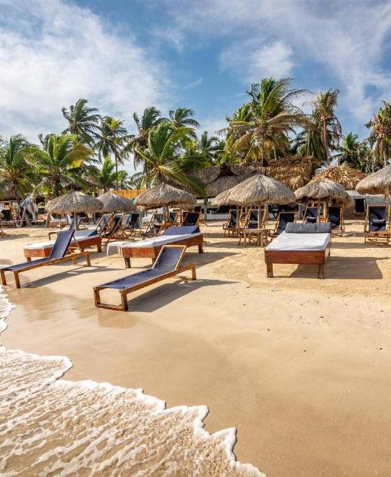 Pasadia Palmarito Beach Tierra Bomba