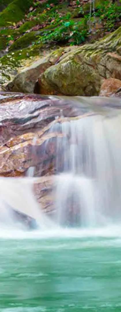 Santa Marta y Tayrona 5 Dias: Mar y Naturaleza día 4