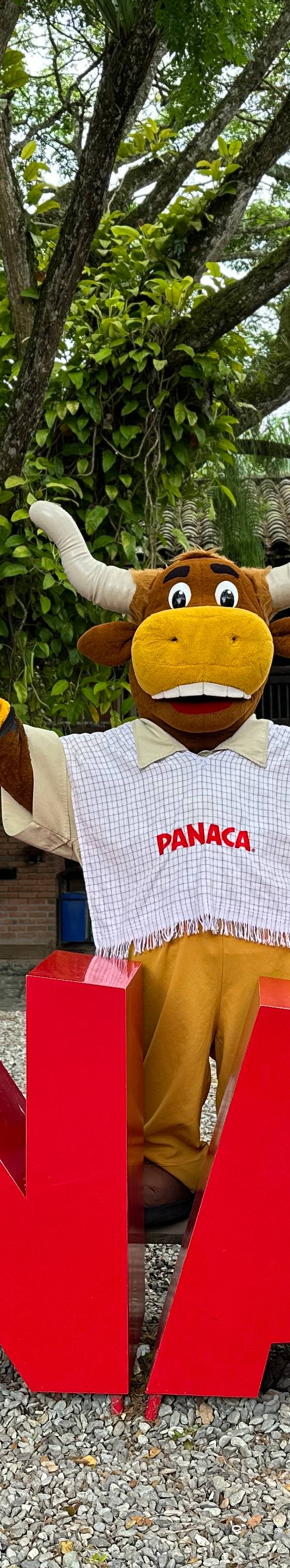 Panaca ingresos
