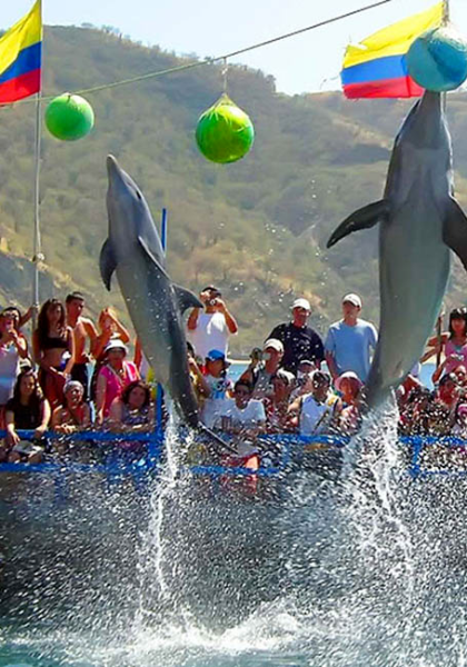 Santa Marta y Tayrona 5 Dias: Mar y Naturaleza día 3