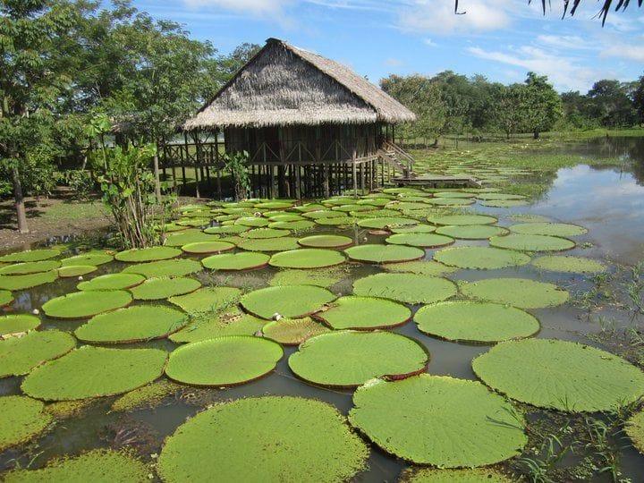 Amazonas destino imperdible