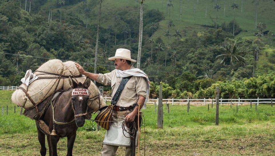 Guía de Viajes Eje Cafetero, Descubriendo Caminos Llenos de Historia