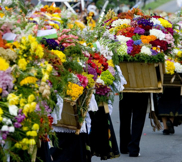 Feria de las Flores, Que faire à Medellín
