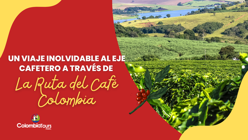 Un viaje inolvidable al Eje Cafetero a través de la ruta del café Colombia