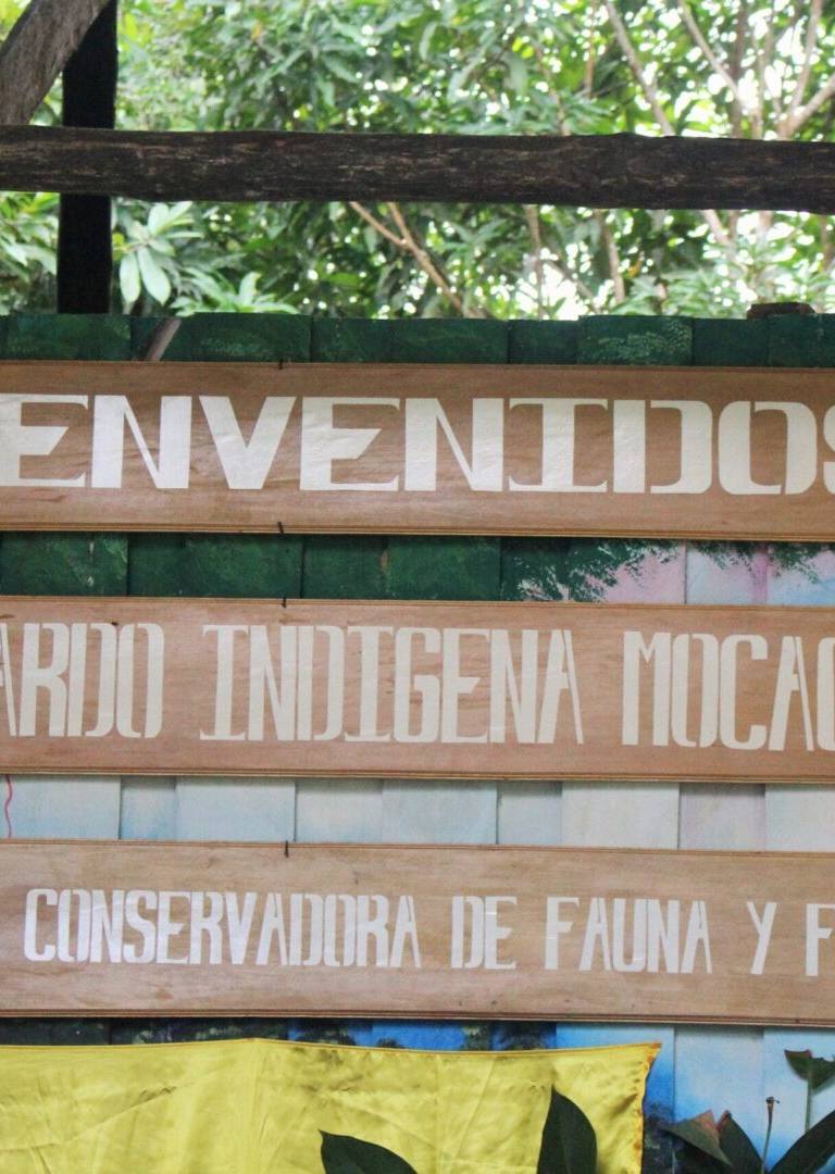 Autoridad Indígena de Mocagua firma Acuerdo Político de Voluntades con Parques para proteger su territorio - Parques Nacionales Naturales de Colombia