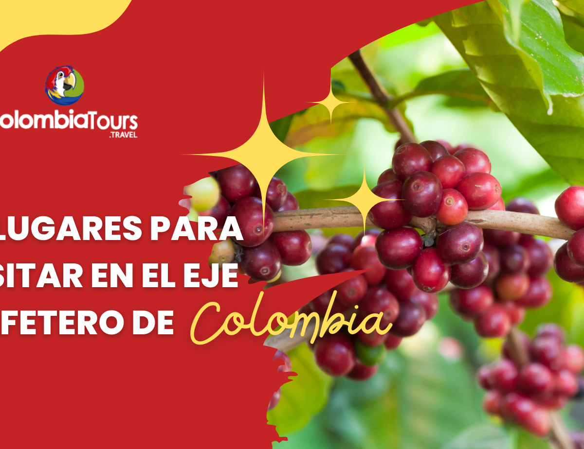 ¿Que hacer en el Eje Cafetero?16 lugares para visitar en el Eje Cafetero de Colombia