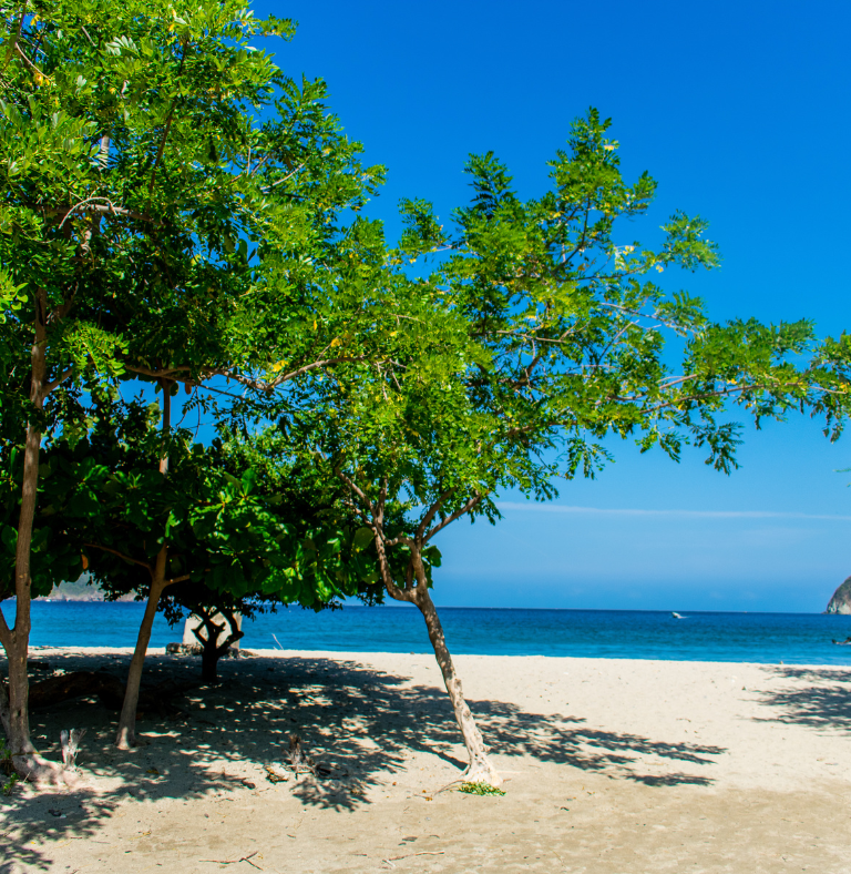 parque tayrona, playa, mar