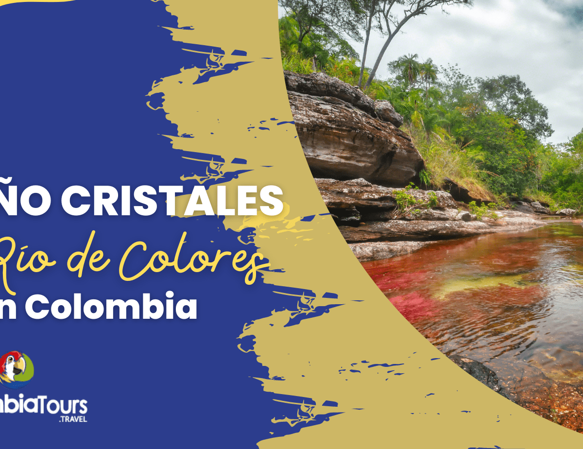 Descubre Caño Cristales Colombia: el río de colores en Colombia