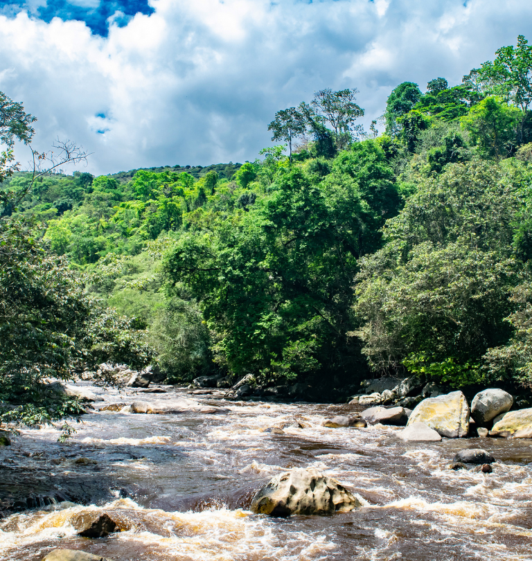 parques nacionales naturales, áreas naturales