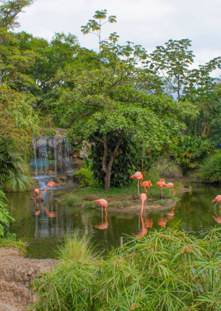 Santiago de Cali, Ciudad Cali Colombia 
