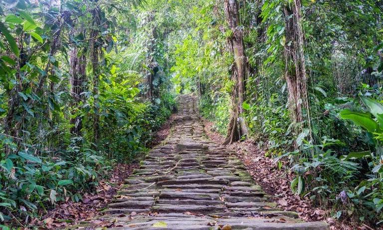 Tour trekking