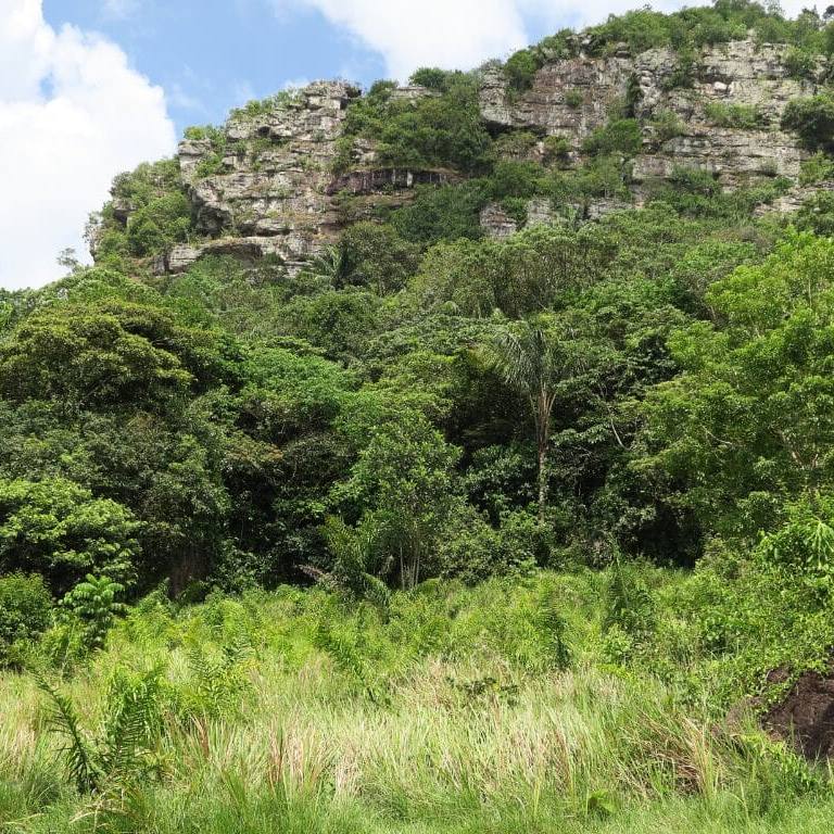 san josé del guaviare contenidos