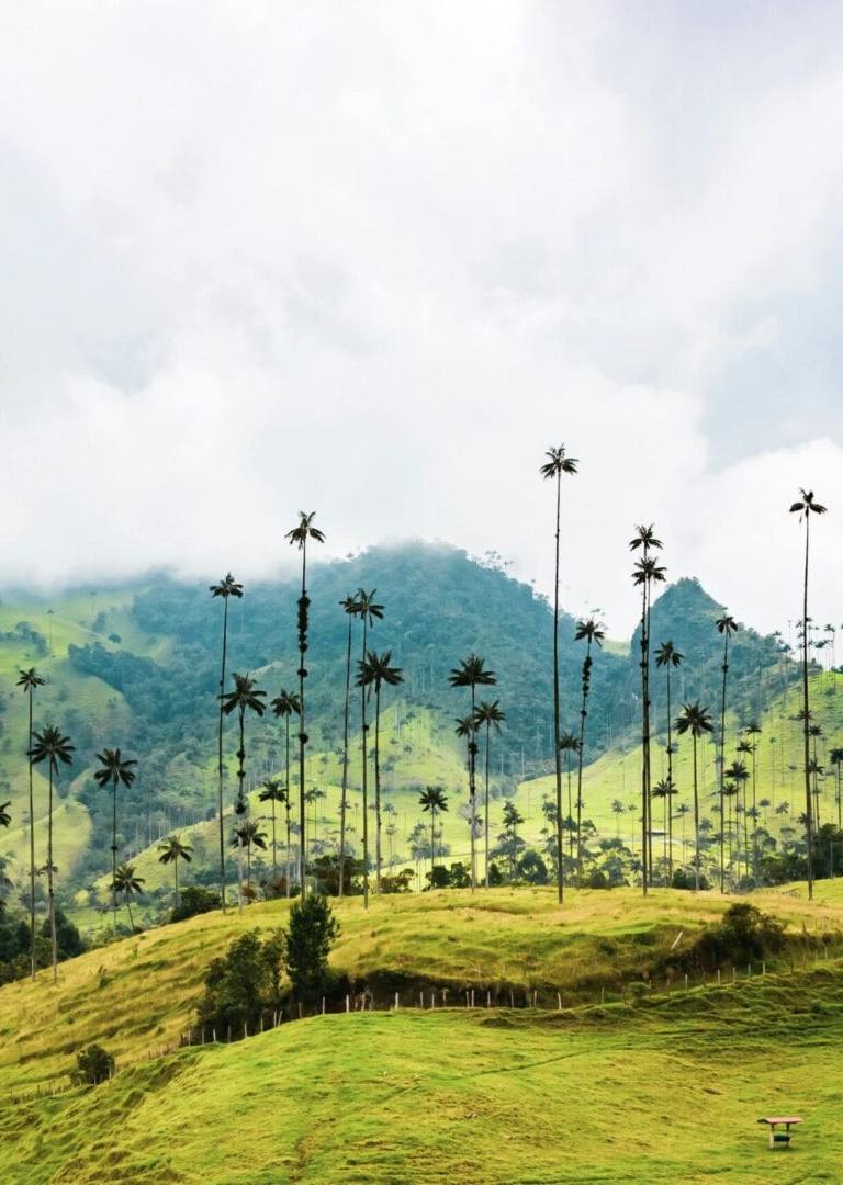 foto de destinos en Colombia