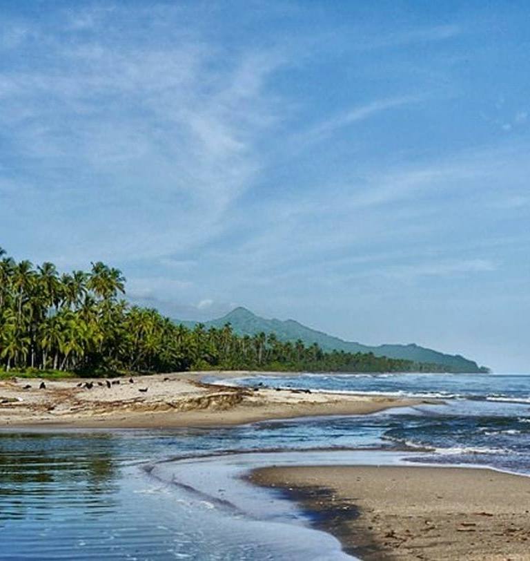 palomino la guajira