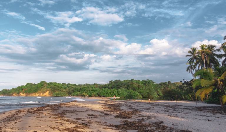 palomino la guajira