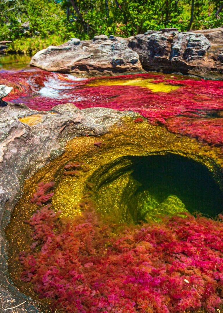caño cristales