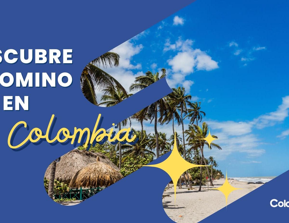 Descubre Palomino en Colombia: Un Paraíso Tropical en La Guajira