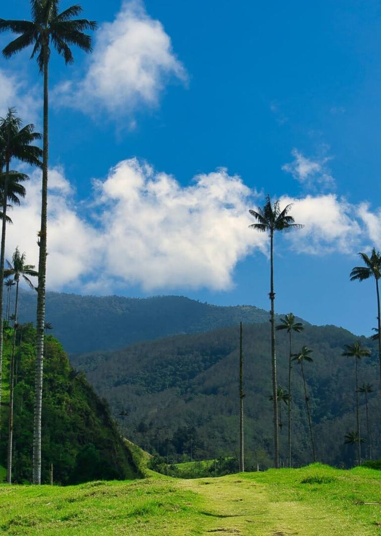 destinations touristiques économiques colombie - secteur
