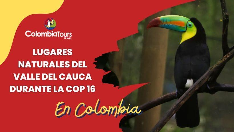 Explora estos lugares Naturales del Valle del Cauca durante la COP 16 en Colombia