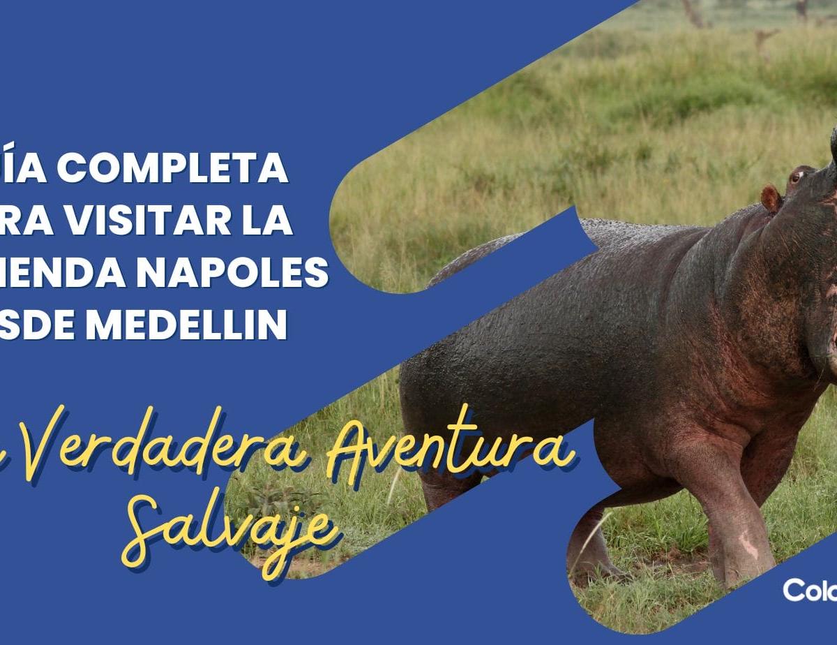 Visitar Hacienda Nápoles desde Medellín: guía 2026 con costos, ruta y consejos